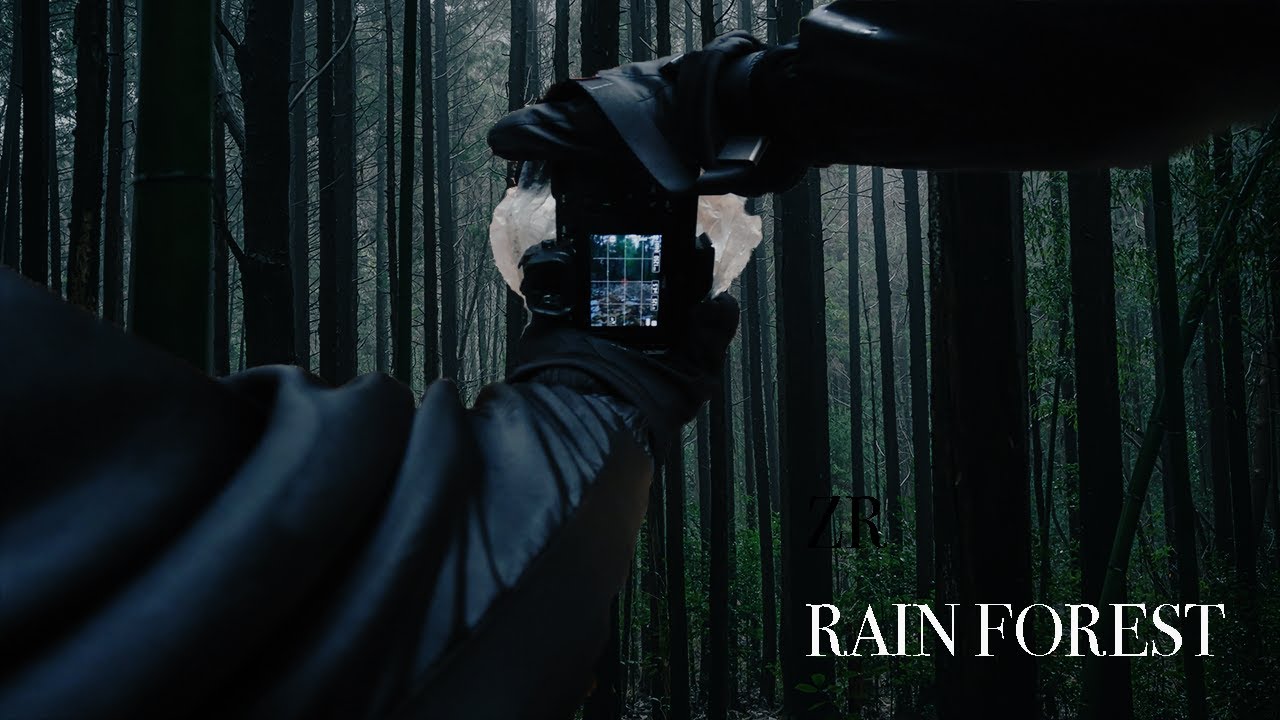 RAINY POV NATURE PHOTOGRAPHY [2/3]