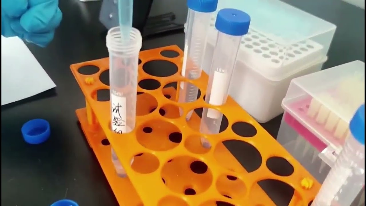 Powerful Bactericidal Effect Test | Farm Environment Disinfectant/Modifier & Newborn Drying Powder
