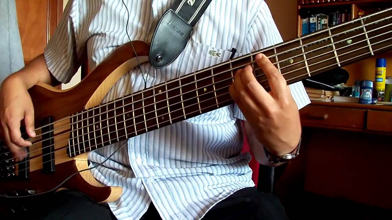 Eva Ayllón - Ritmo,color y sabor cover bass.wmv