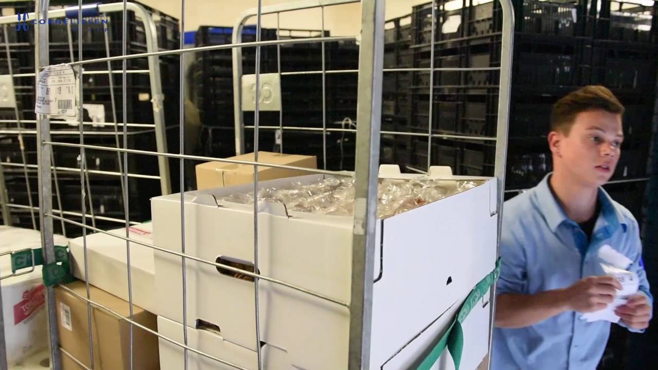 Cornelissen Transport lossen bij AH met elektrisch gekoelde trailer
