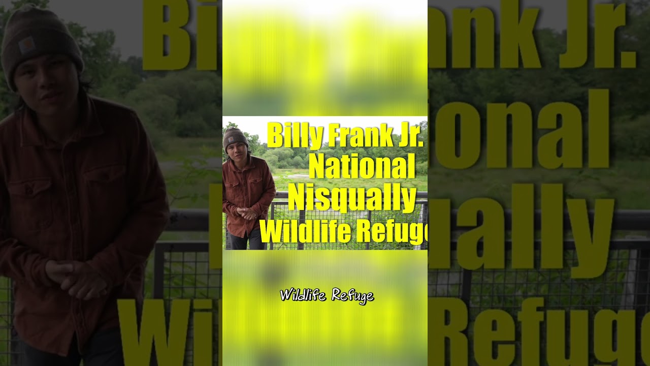 Explore Nisqually Wildlife Refuge: Scenic Landscapes in Washington
