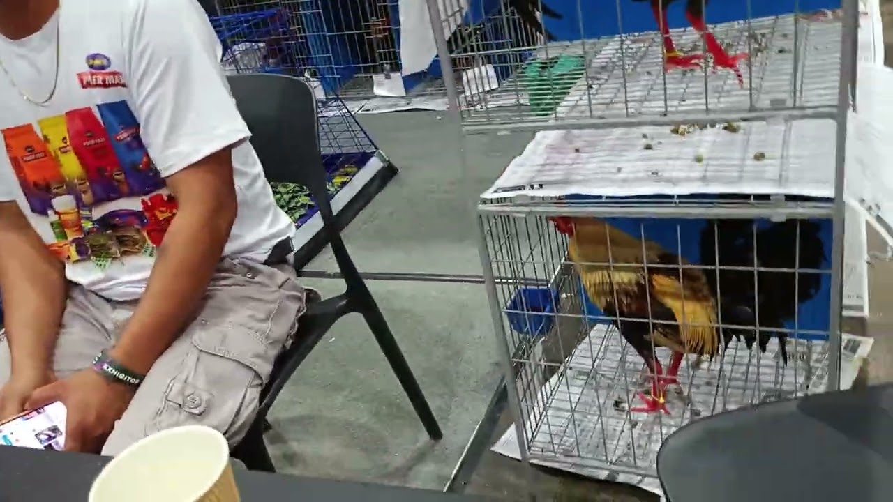 WORLD GAMEFOWL EXPO 2026
