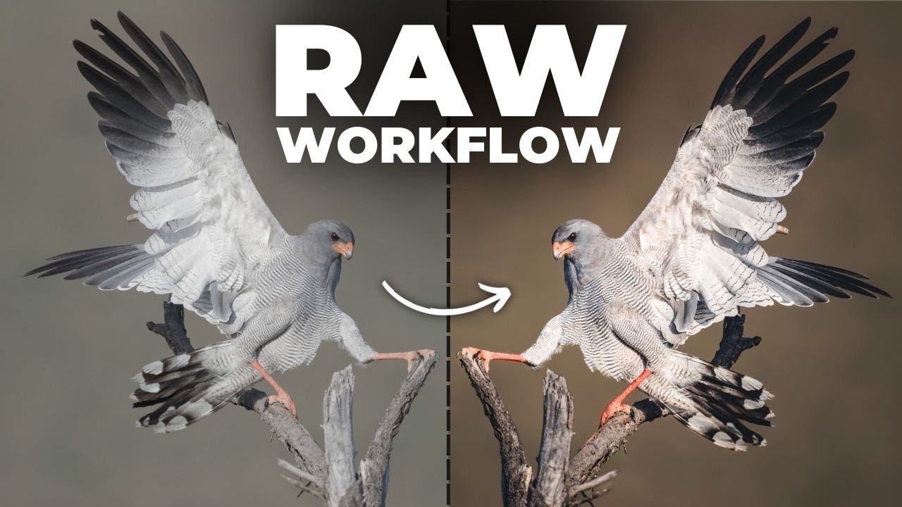 Используйте этот алгоритм обработки RAW-файлов для получения более качественных фотографий дикой ...