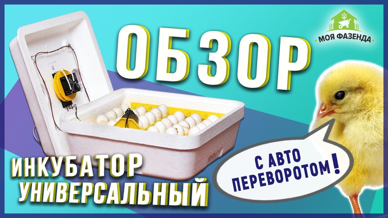 Инкубатор с автоматическим переворотом Веселое Семейство