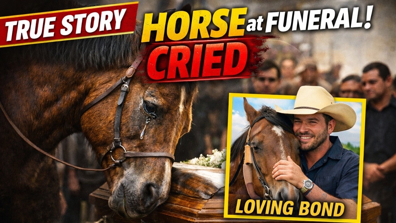 🐴 The Horse Who Cried at His Owner’s Funeral (True Story)