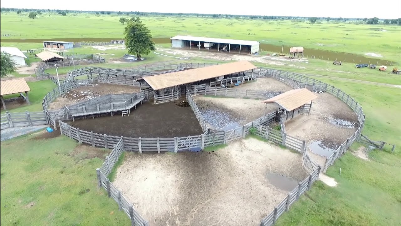 Fazenda Paloma - Pantanal