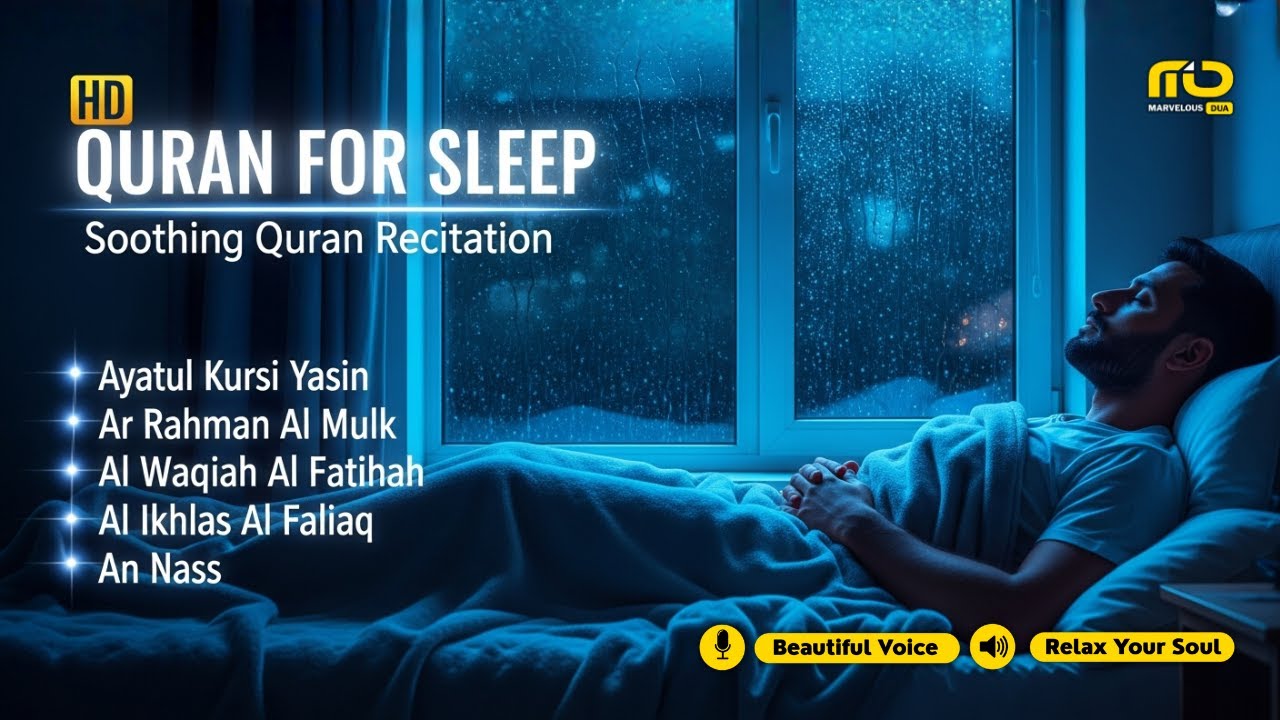Night Quran Recitation in A Peaceful Voice I Alfatiha, Yasin ,Arrahman ,AlWaqiah ,Mulk -By Alaa Aqel