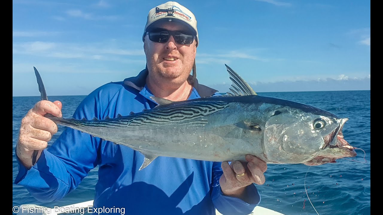 Tuna Fishing Time - Episode 119