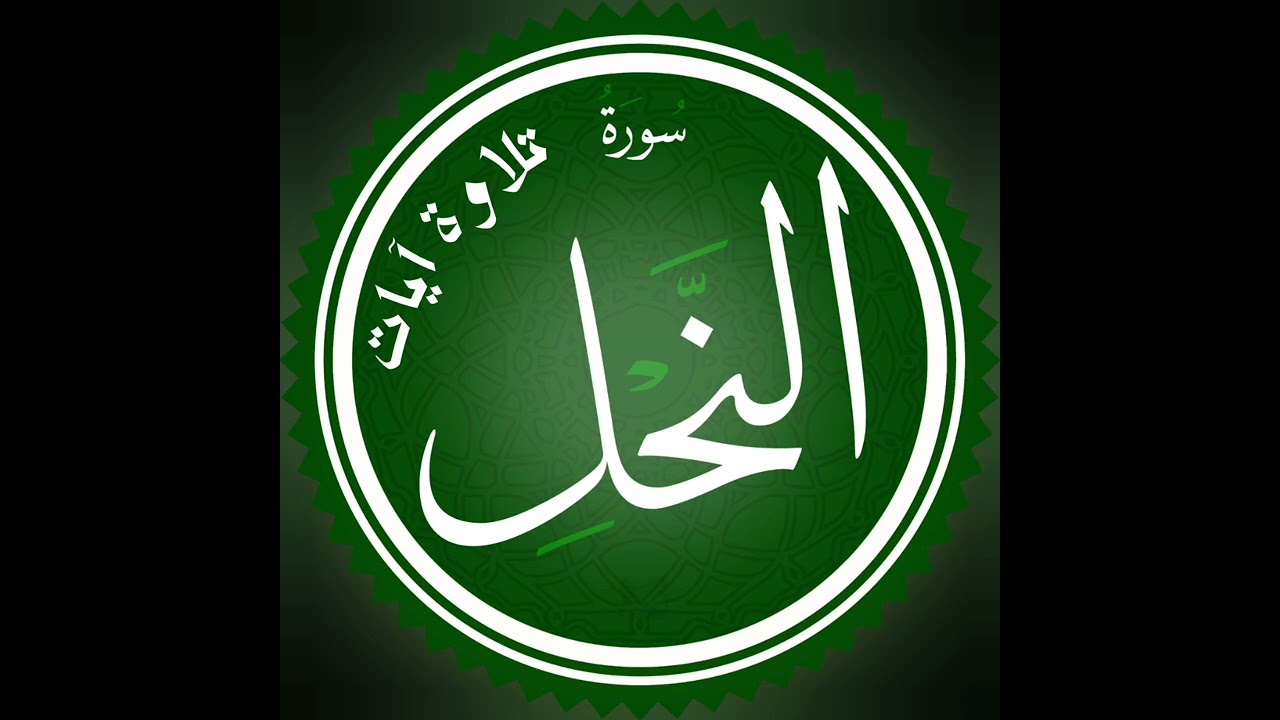 تلاوة آيات من سورة النحل .. د. كريم العمري