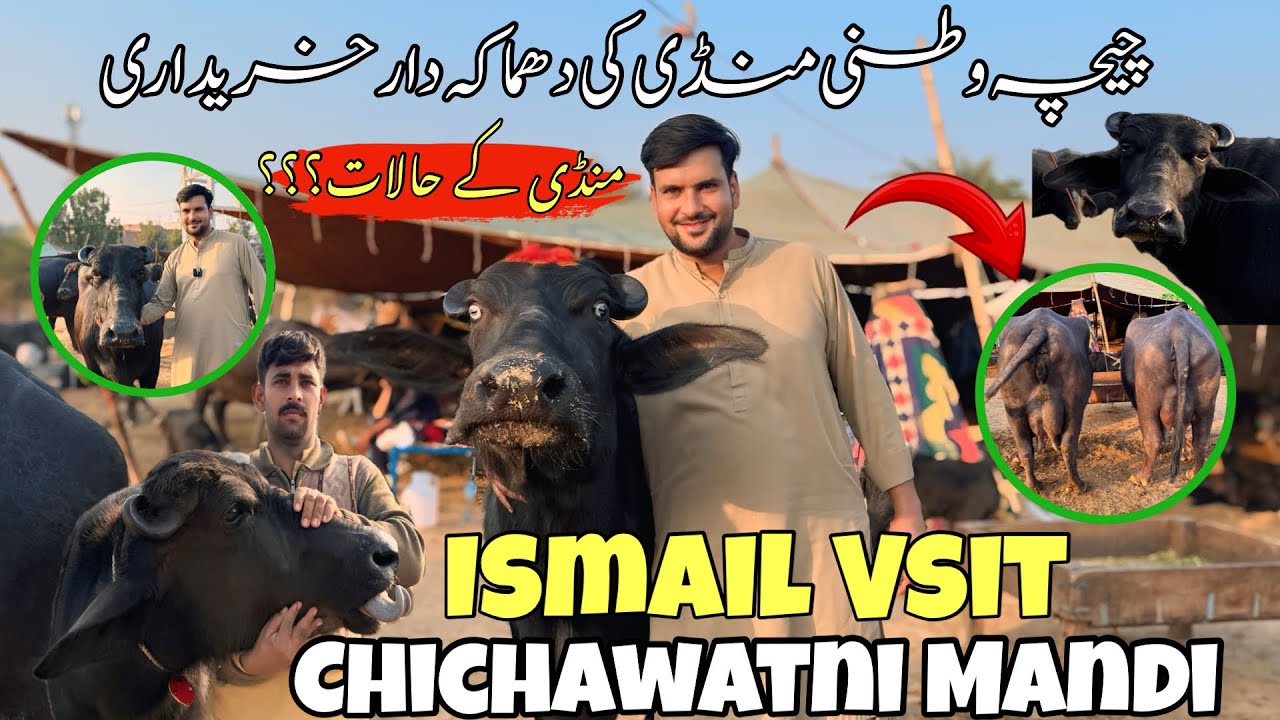 Today Ismail jutt visit  Chichawatni Mandi