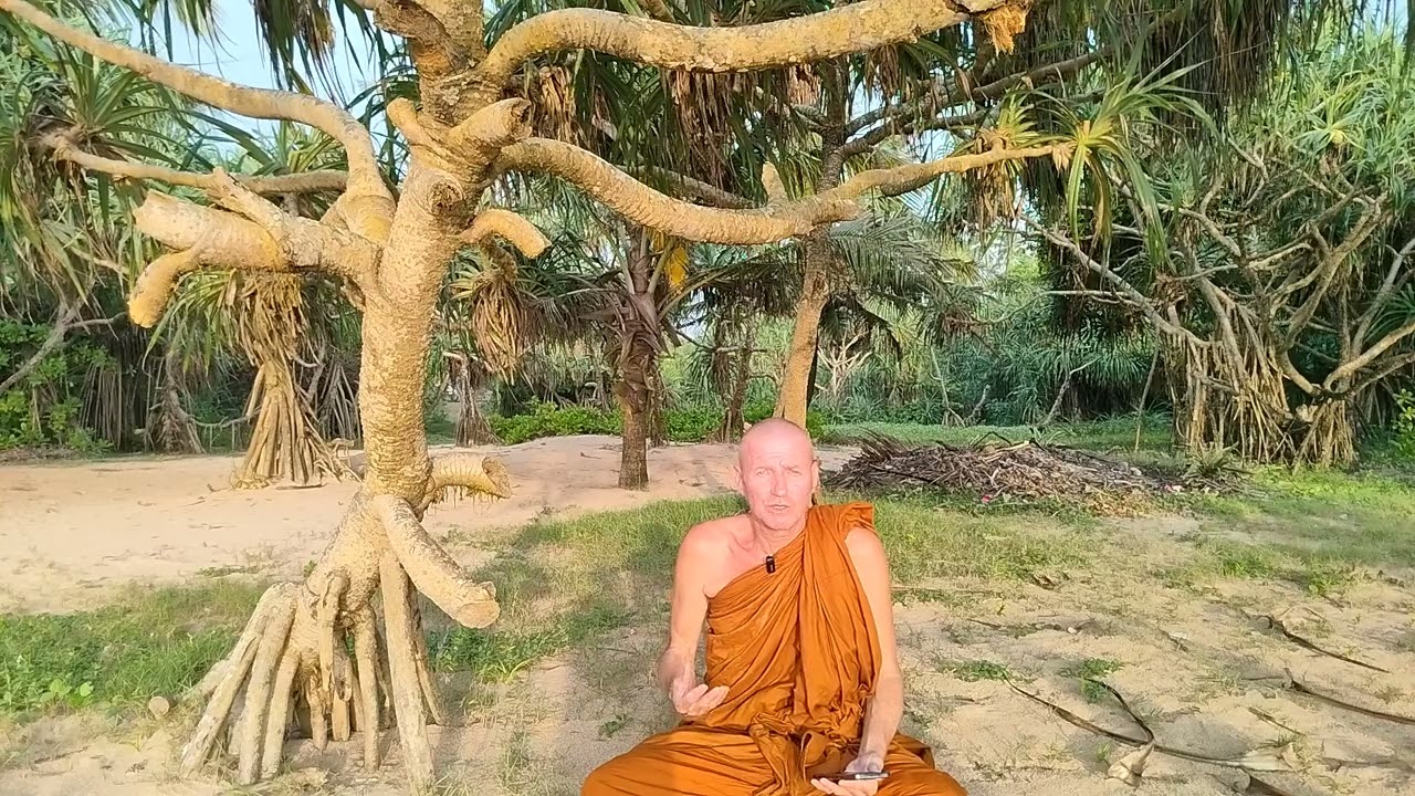 MONK's Q&A's SIMPLE BUDDHISM of ANICCA, DUKHA & ANATTA