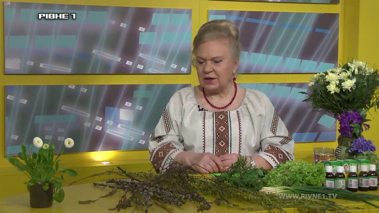 Яку користь організму дає береза - у програмі 