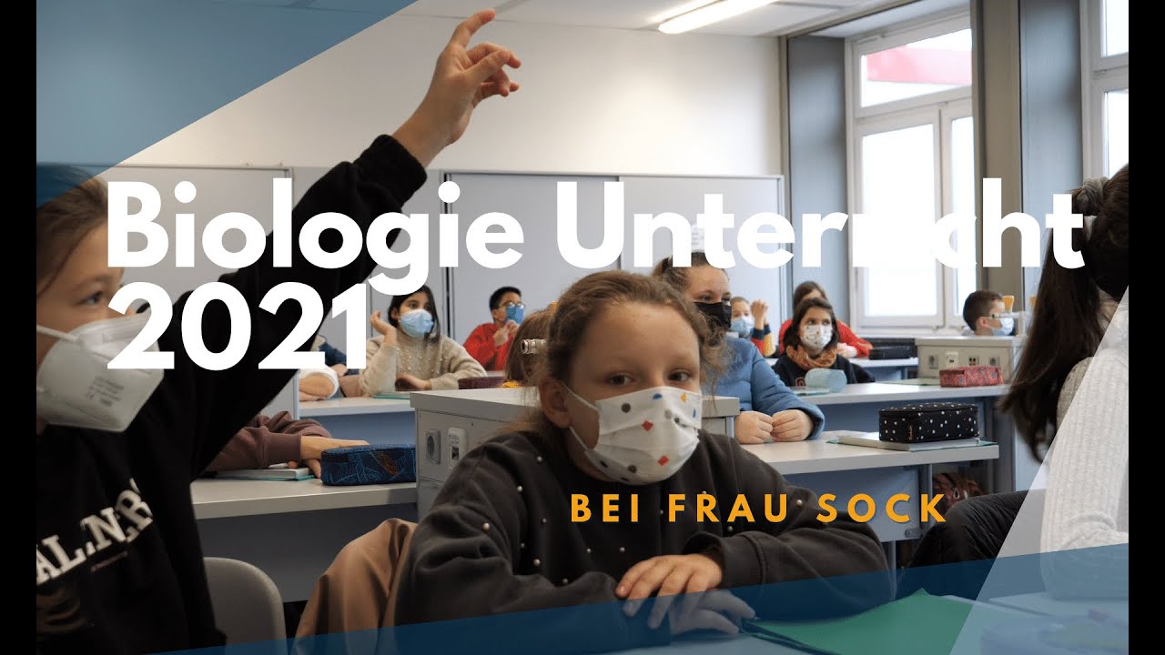 Biologie Unterricht 2021 (Sophie-Scholl-Gymnasium Oberhausen)