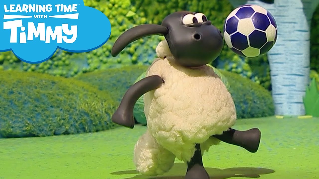 Timmy's Favourite Things / Let's Make a Den | Learning Time with Timmy | Pre-School Cartoons