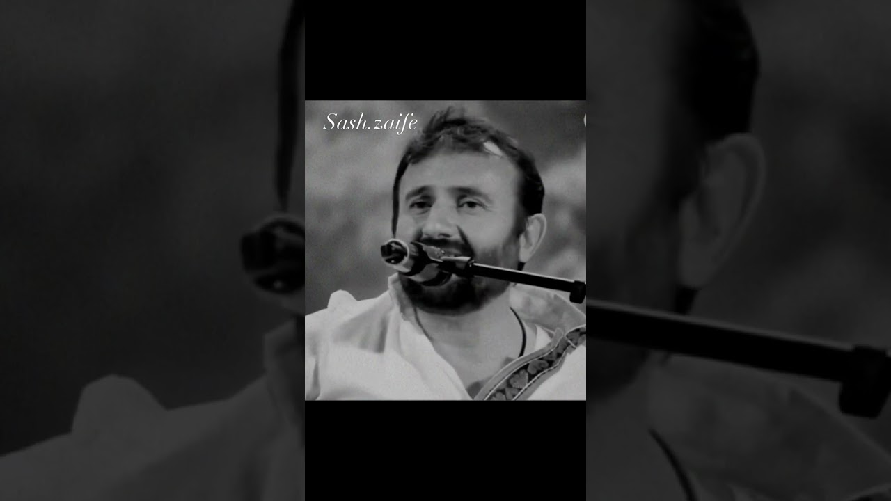 Саши Заифи тут мунд ца вицат