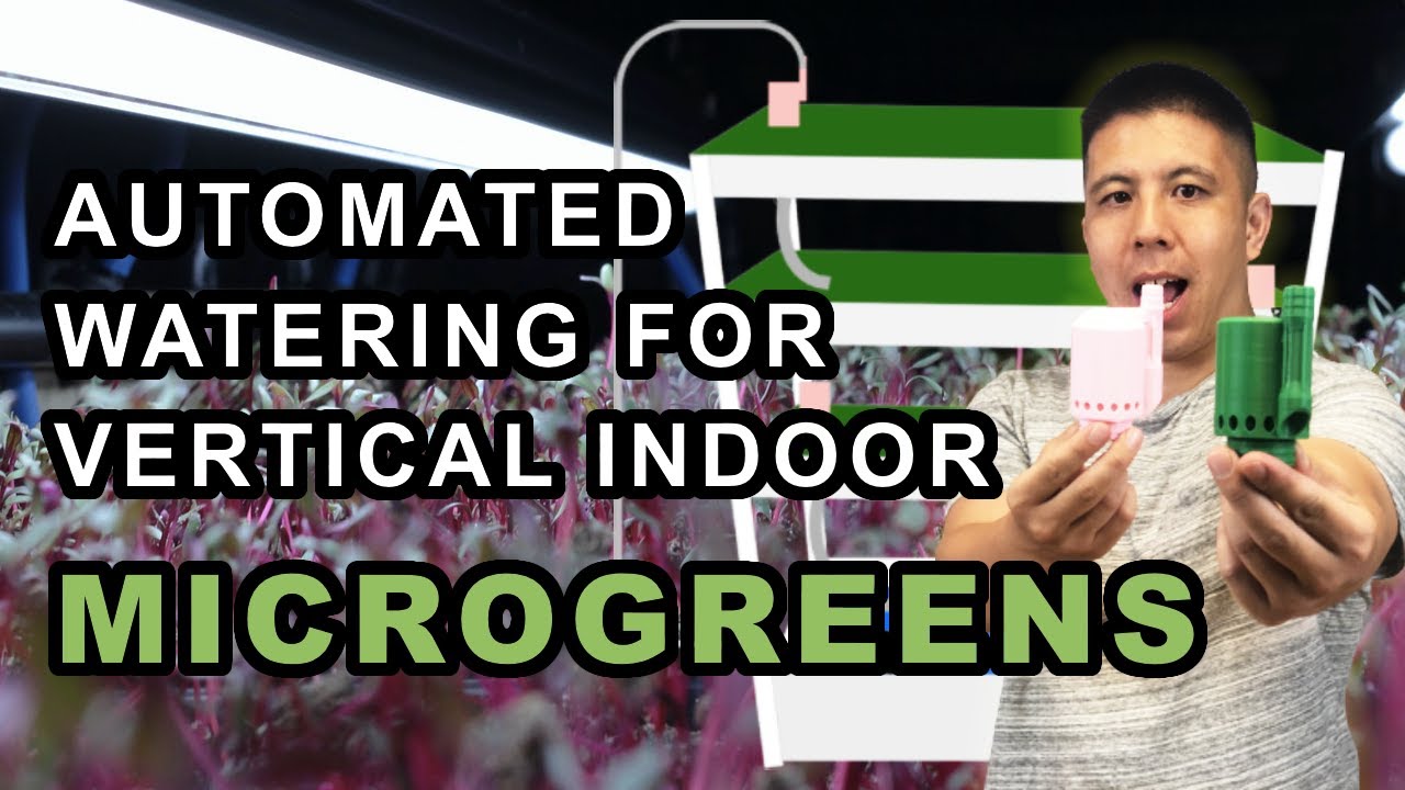 Automated Watering for Vertical Indoor Microgreens using Bell Siphons