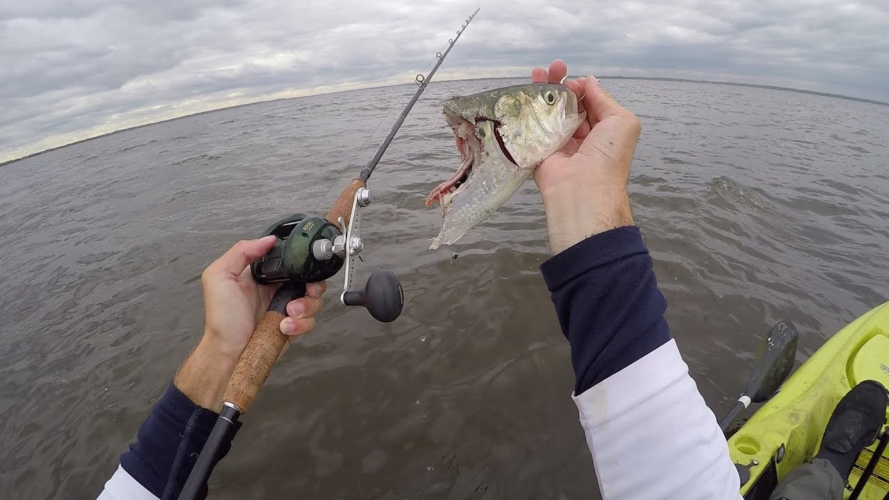 Back in the North Surf and Kayak Fishing