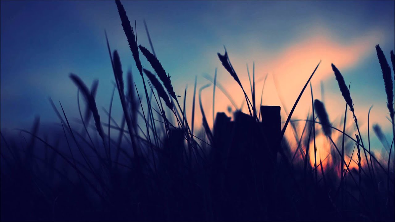 Filterheadz - Endless Summer