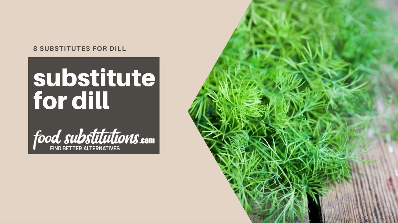 Substitute For Dill - 8 Alternatives to replace dill