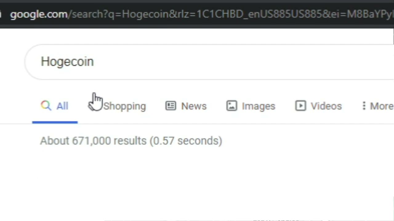 What Is Hogecoin?