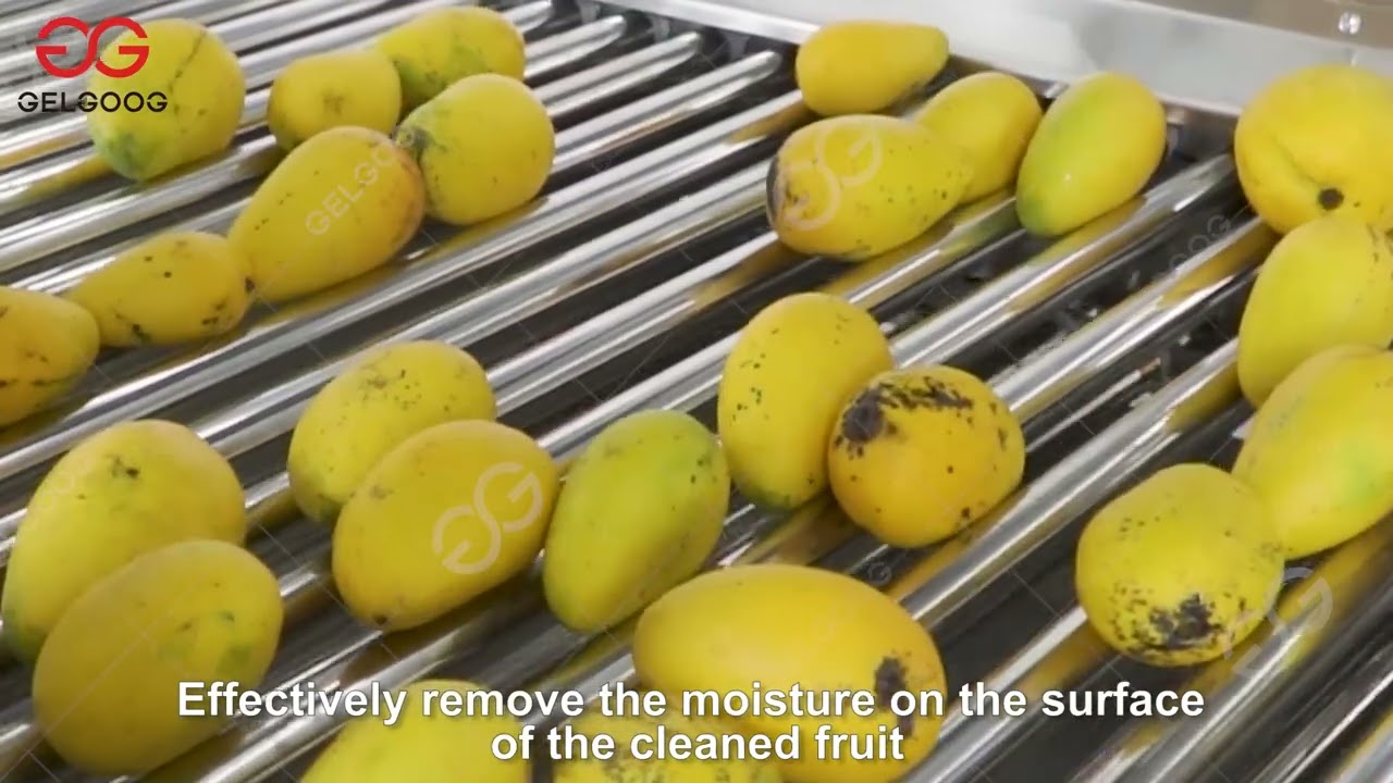 Mango Washing Waxing Processing Machine Line