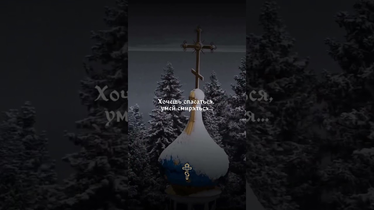 Господе помилуј... ☦️ 📽:bogami.molitva #добровољци