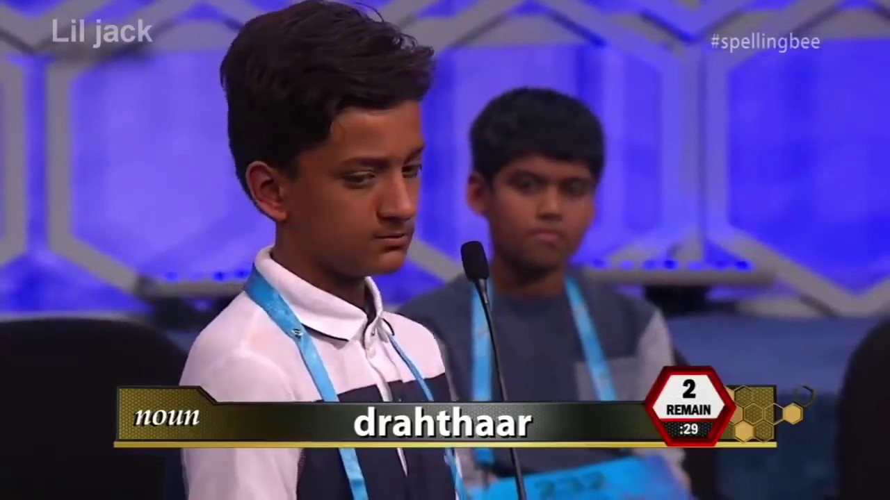 curb your memes to watch in quarantine