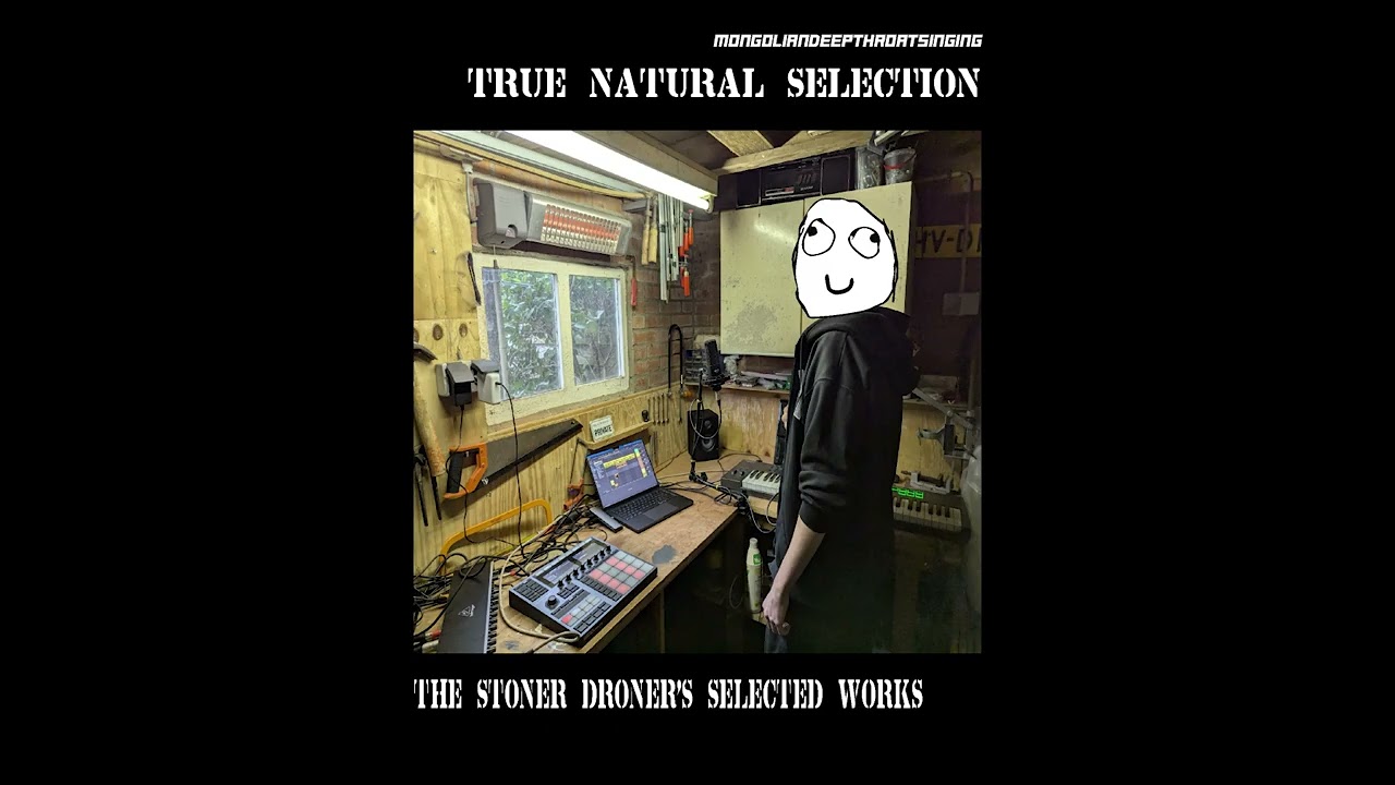 What Democracy Looks Like