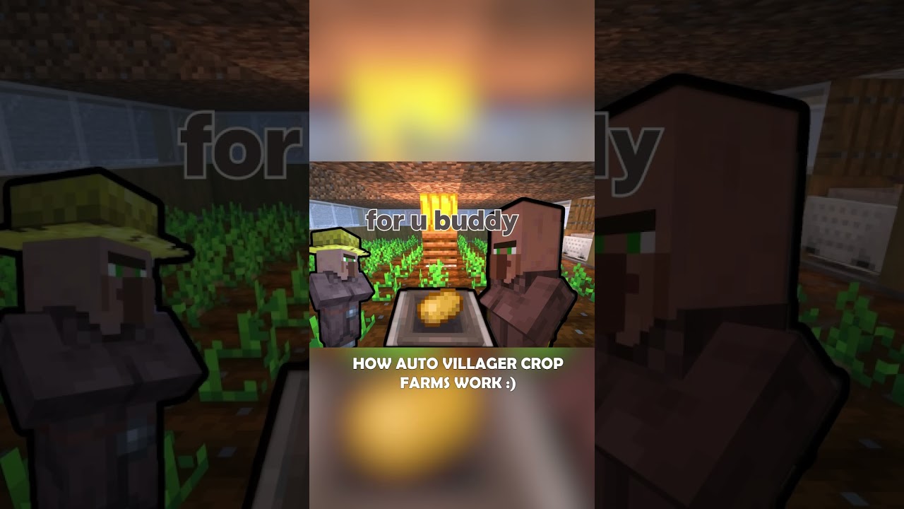 How Auto Villager Crop Farms Work :)