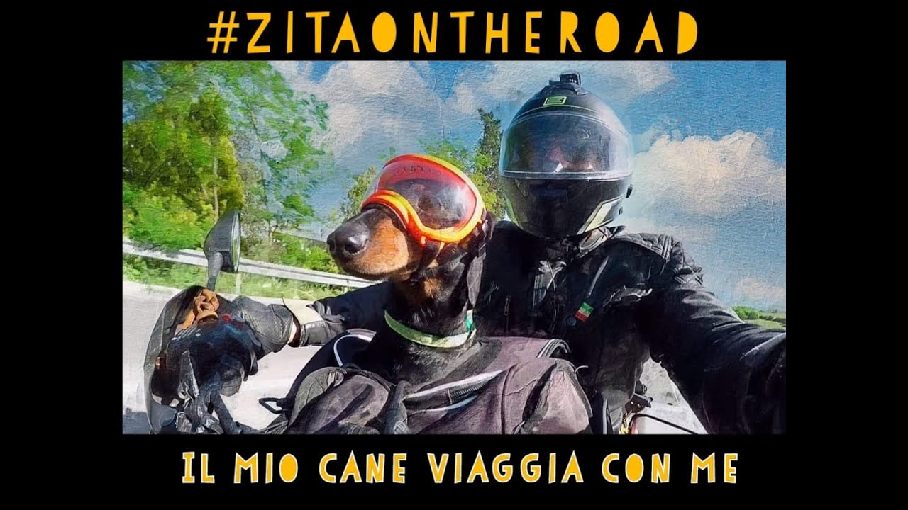 zitaontheroad, motoviaggio con il cane -