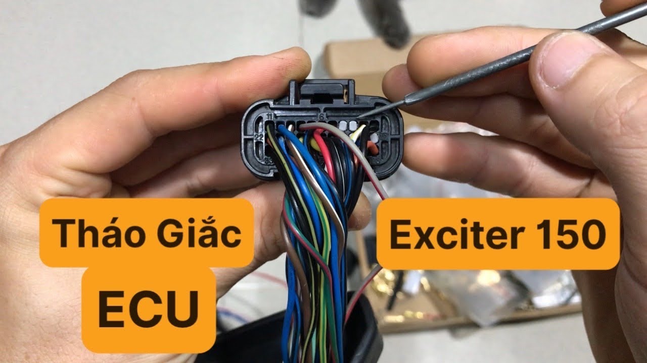 Cách Tháo Giắc ECU Ex150 và Các Giắc Còn Lại Trên Điện Sườn Exciter 150