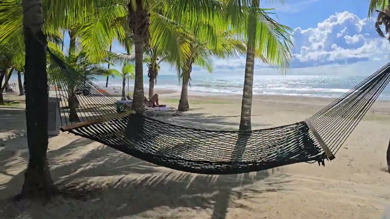 Couples Swept Away Negril Jamaica Walkaround October 2024