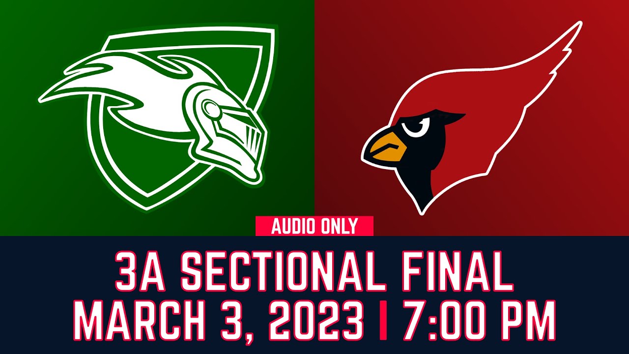 Boys' basketball: Richwoods vs Metamora (3-3-23)