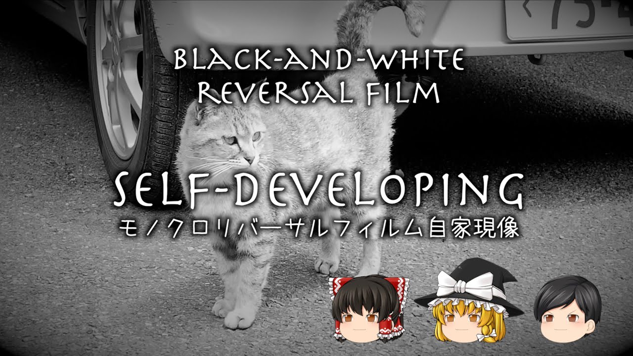 @161 Black-and-white reversal film self-developing モノクロリバーサルフィルム自家現像