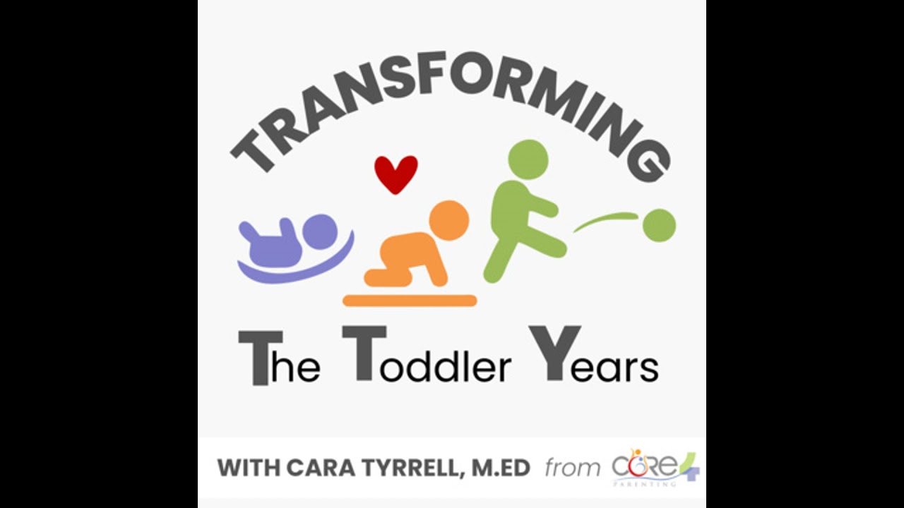 Welcome to Transforming the Toddler Years