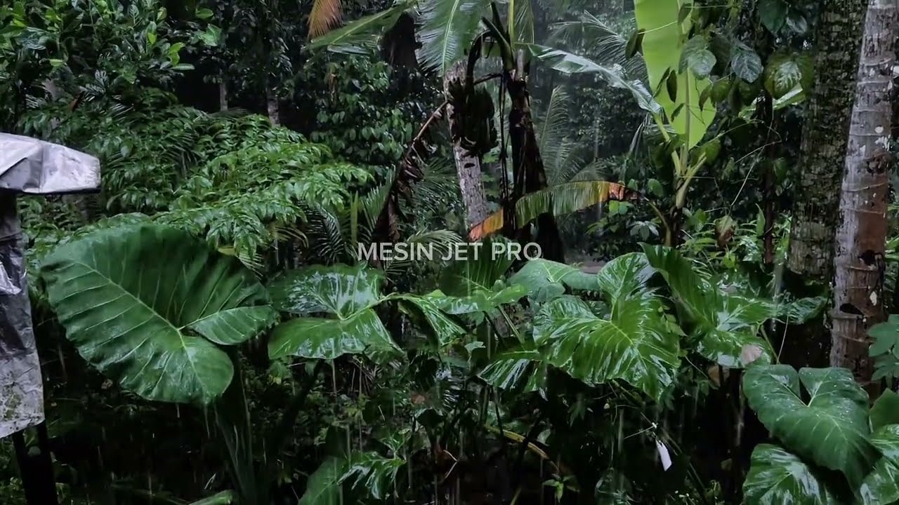 Peaceful Village Rain ASMR 🌧️ Deep Sleep & Relaxing Nature Sounds