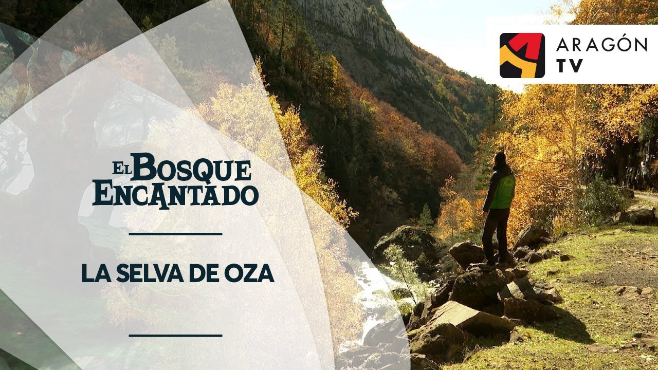 La Selva de Oza | SELVA DE OZA