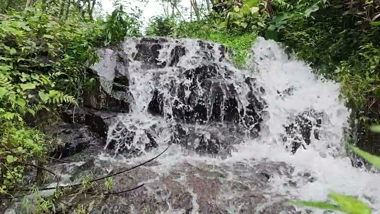 Dari hulu ke hilir, sungai menyimpan kehidupan dan ketenangan. 🌍🌊 #alam #relaksasi 
