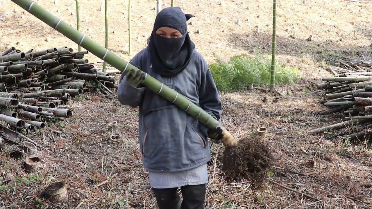 生きた竹の伐根成功！法面に残る枯れた竹株も蹴って押してもぎ取るよ｜少しづつ何もないエリアが広がっていく