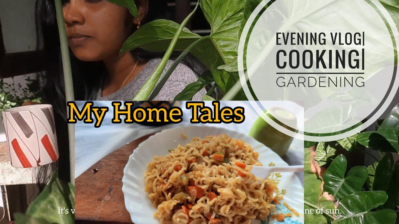 Evening Vlog | My Home Tales 🏡