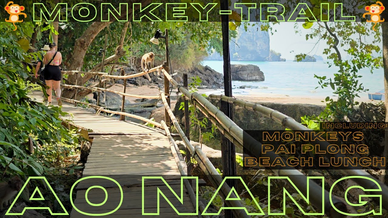 Ao Nang 🐒 Monkey TRAIL Walk and 🍽️ Lunch - Crazy Monkeys, Pai Plong Beach Update 🚧 - Krabi Thailand