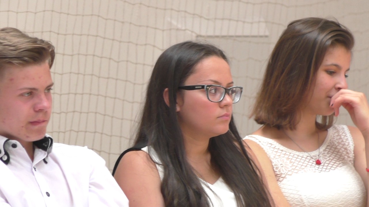 Ballag&aacute;s 2017. j&uacute;nius 15-&eacute;n a Hung&aacute;ri&aacute;ban (A jogd&iacute;jas +8 percnyi kieg&eacute;sz&iacute;t&eacute;ssel.)