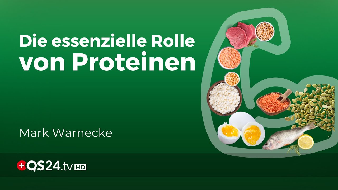 Fragen und Antworten zum Thema: Proteine/Eiwei&szlig;e und Aminos&auml;uren | Naturmedizin | QS24