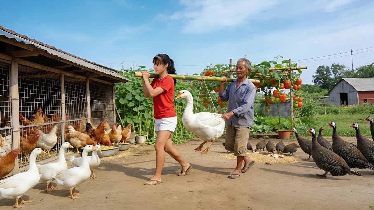 TIMELAPSE -- Single Woman Shares How to Harvest Geese, Chicken & Cook Traditional Dishes