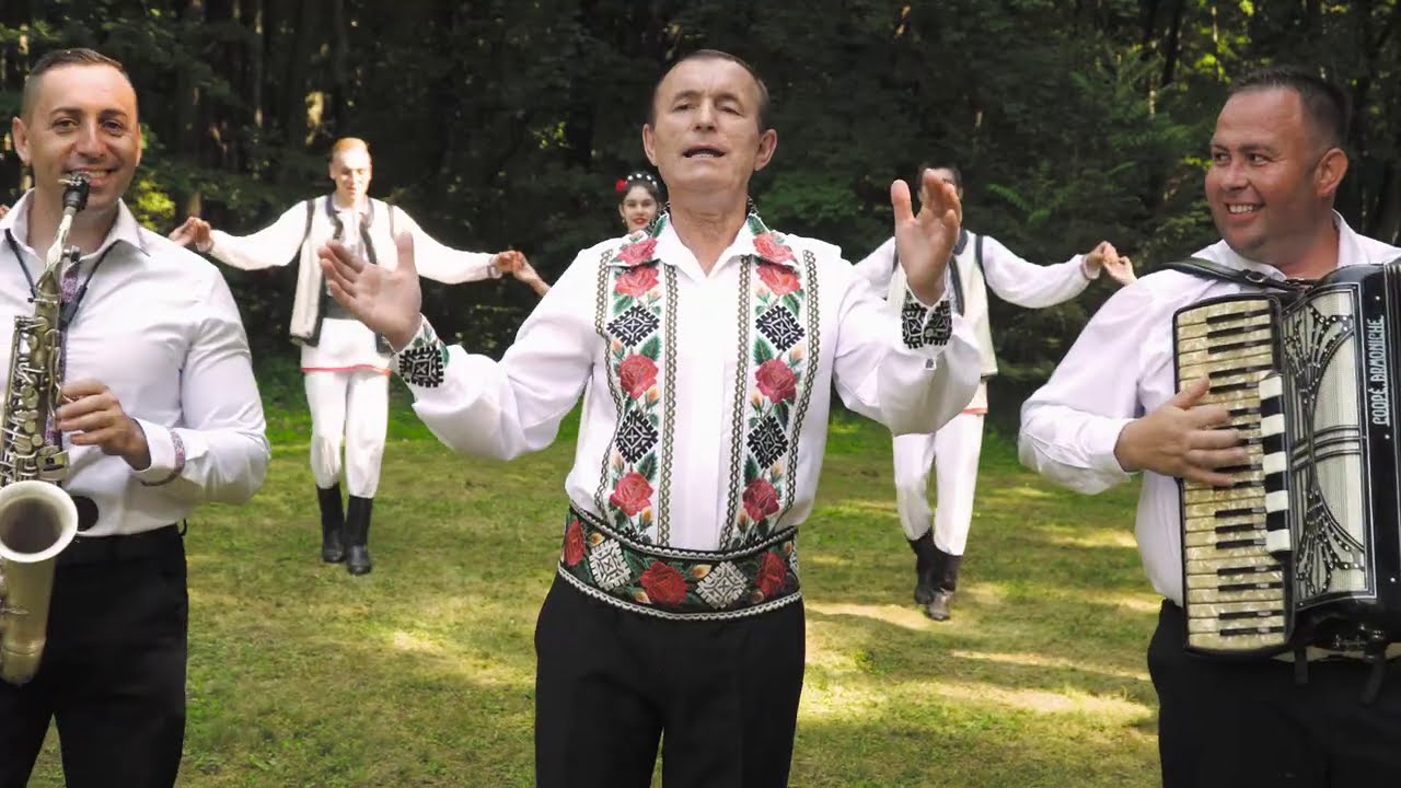 Lele Craciunescu -  Lipova  frumoasa