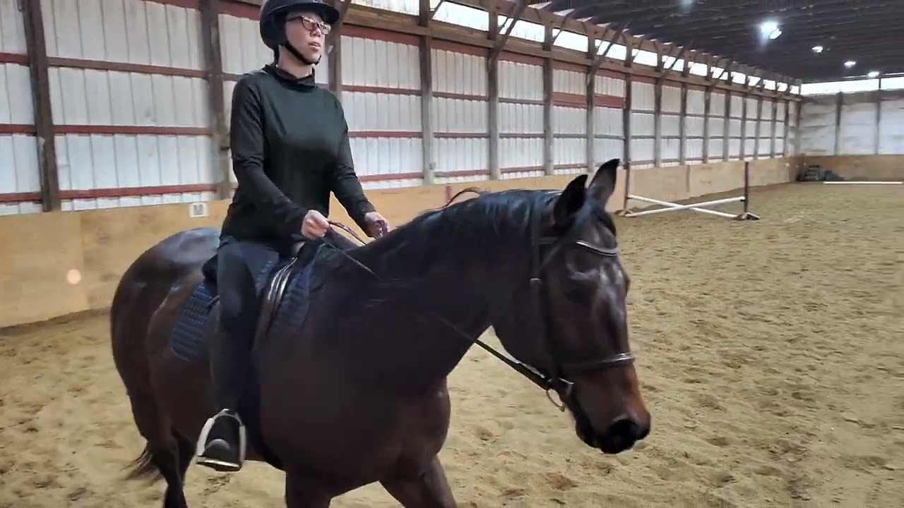 USDF Prix Caprilli Intro - Missed the Call - AnnMarie G.