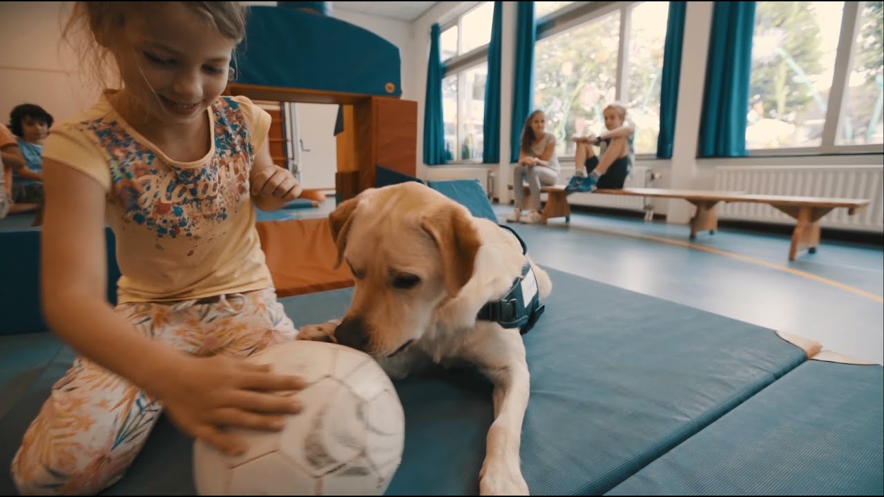 School in actie! | Hulphond Nederland