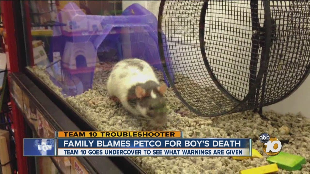 Team 10 goes undercover at Petco store to see what warnings are given