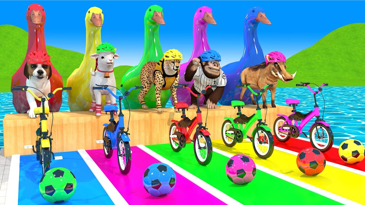 Long Slide Game With Cow Elephant Gorilla Hippopotamus Tiger 3d Animal Game Funny 3d Animals