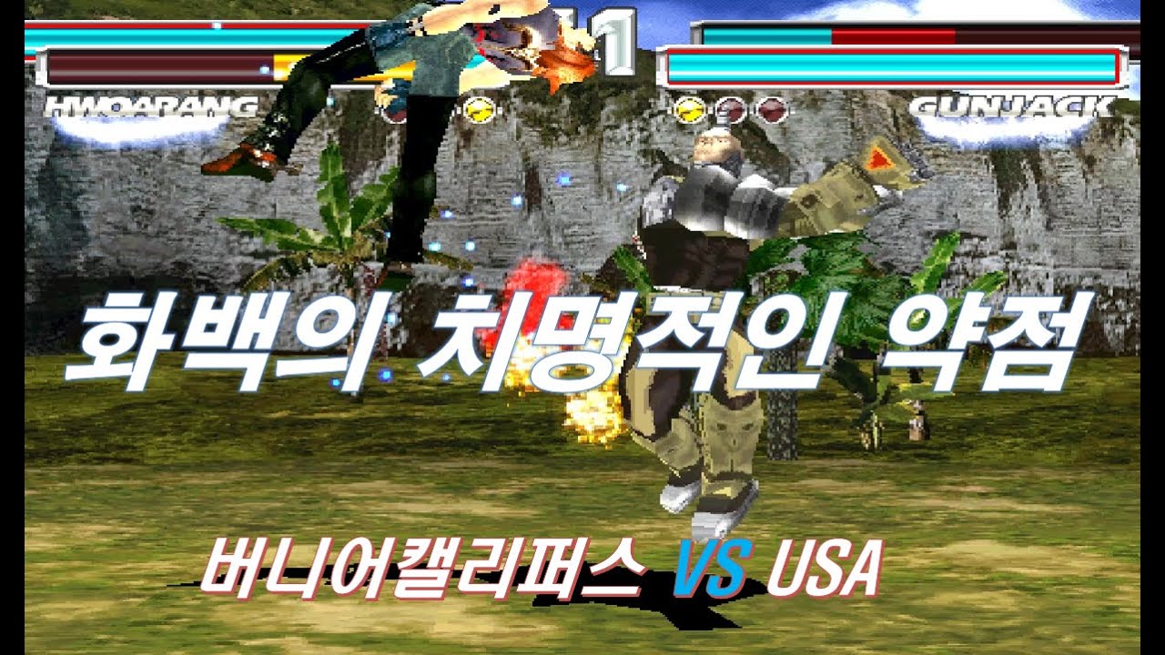 [ 철권태그 ] 버니어캘리퍼스 ( 화백 ) VS USA ( 짹짹 )